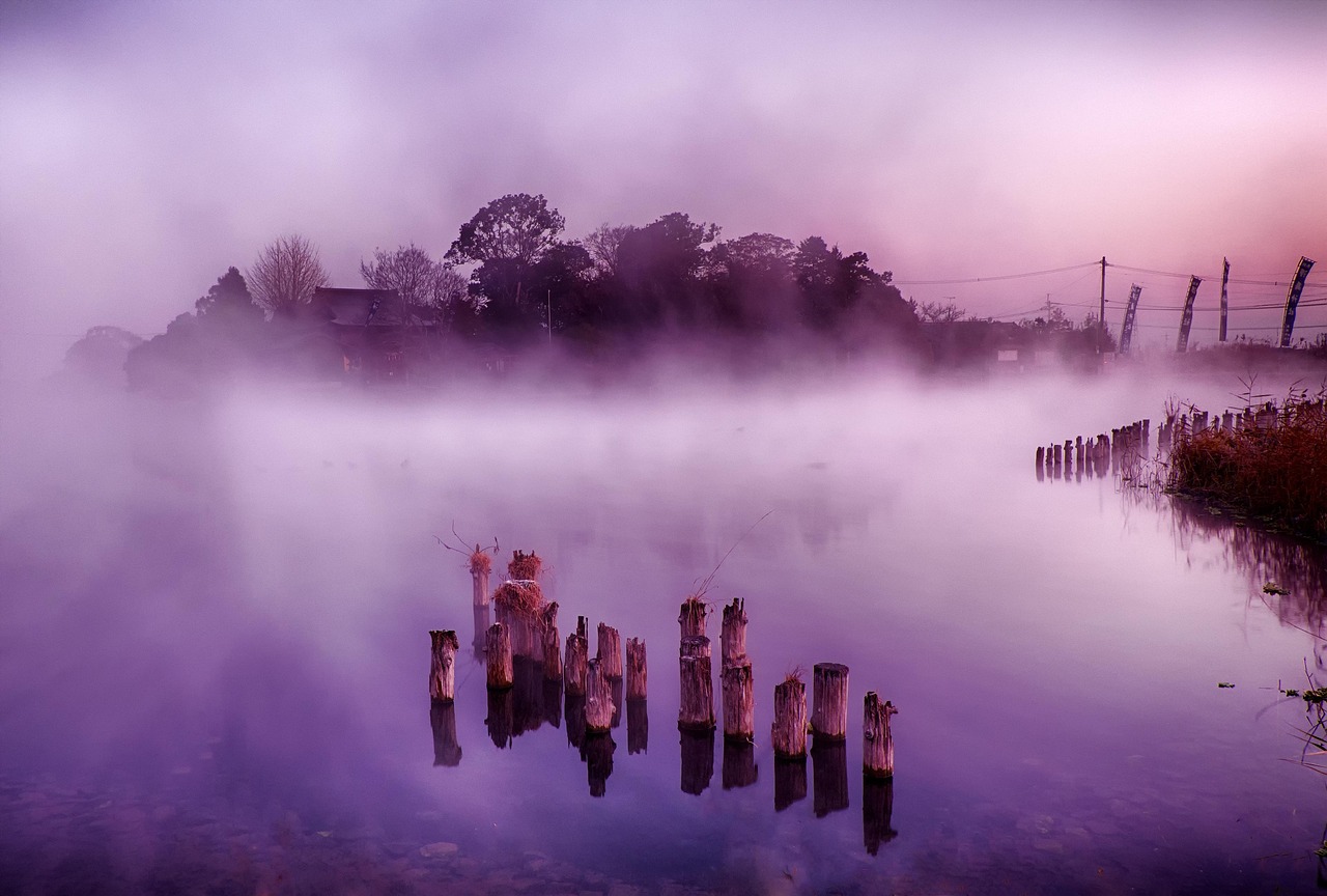 Japan, kumamoto, floating island, fog, nature, lake, morning