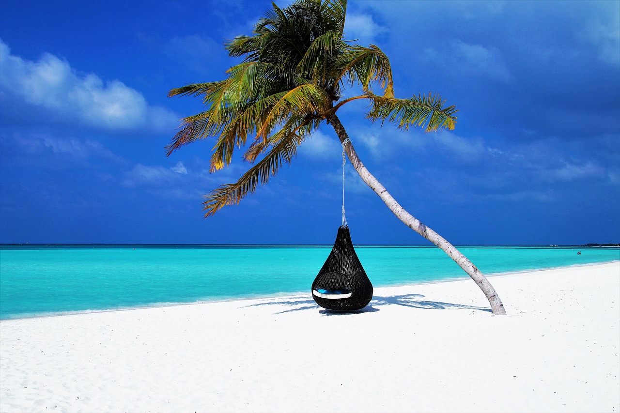 Maldives, palm tree, hammock, beach, sand, coast, island, tropical, lagoon, exotic, travel, idyllic, paradise, ocean, landscape, tourism, basket, nature, relaxation, enchanted, sky, secluded, beauty, 