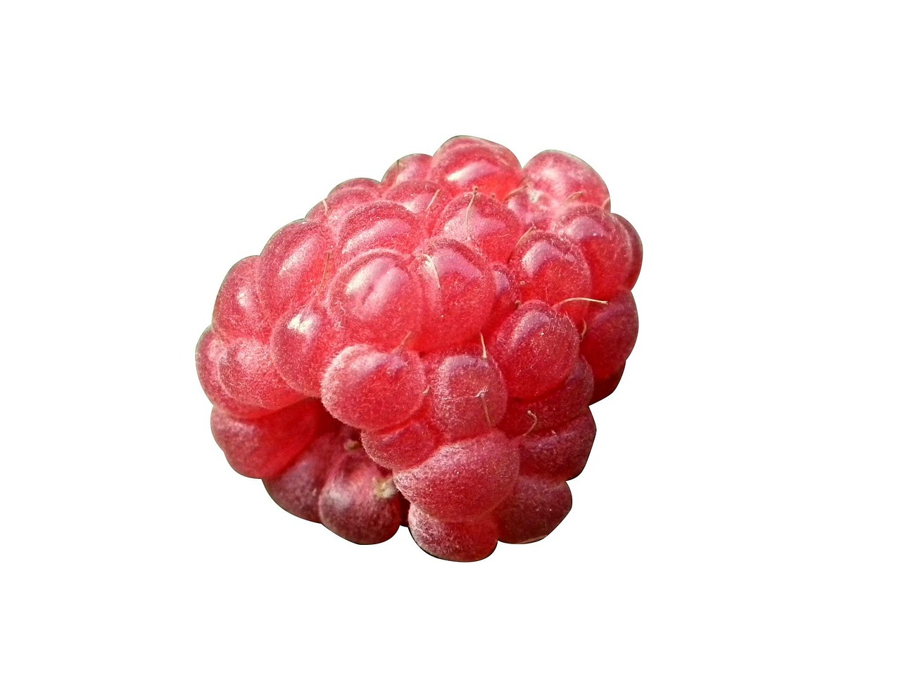 Berry, raspberry, red, fruit, cutout, draft, on white, on a white background, raspberry, raspberry, raspberry, raspberry, raspberry