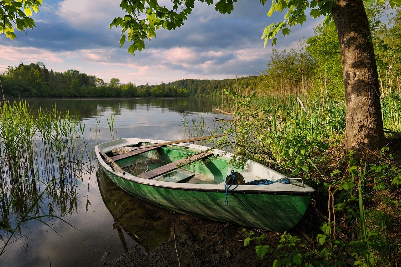 Lake, boat, reflection, nature, calm, reeds, tree, spring, sky, landscape, peace, green, stillness, shore, bushes, clouds, relaxation, greenery, trail, action